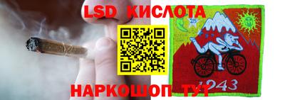 прущие грибы Волжский